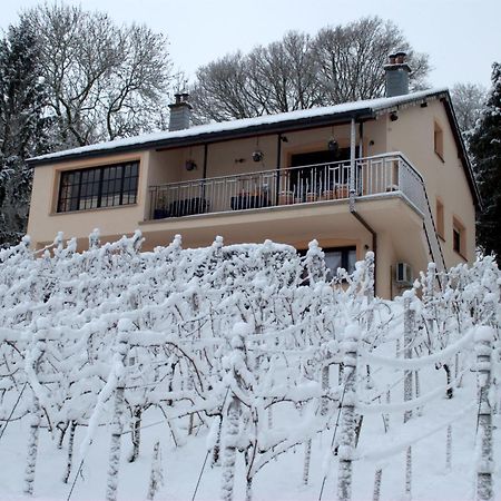 Casavitis Erholung Am Weinberg Apartment Lontzen Exterior foto