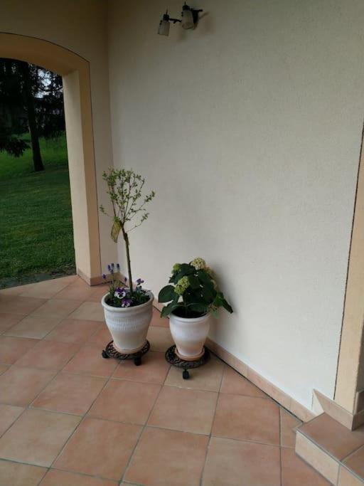 Casavitis Erholung Am Weinberg Apartment Lontzen Exterior foto