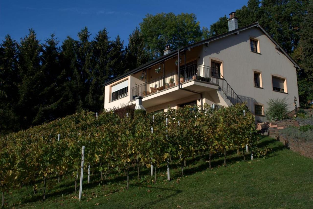 Casavitis Erholung Am Weinberg Apartment Lontzen Exterior foto