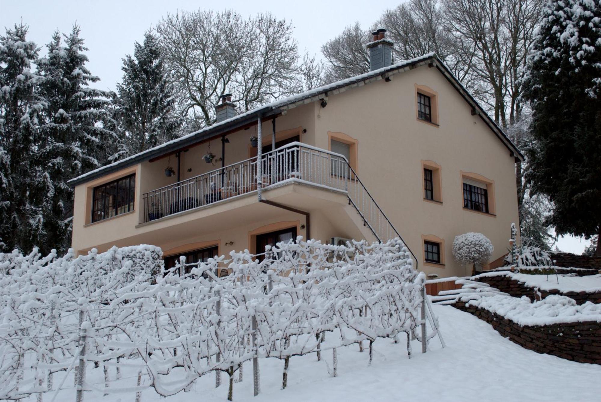Casavitis Erholung Am Weinberg Apartment Lontzen Exterior foto